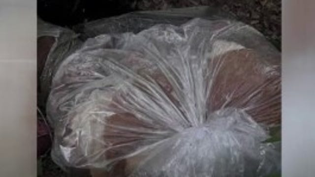 Montgomery County disturbing discovery: 2 dead dogs, pig found in plastic bags