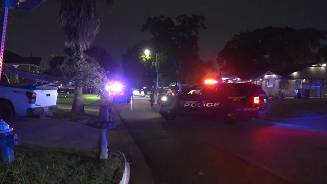 Houston Flamingo Drive: Woman accused of stabbing family member