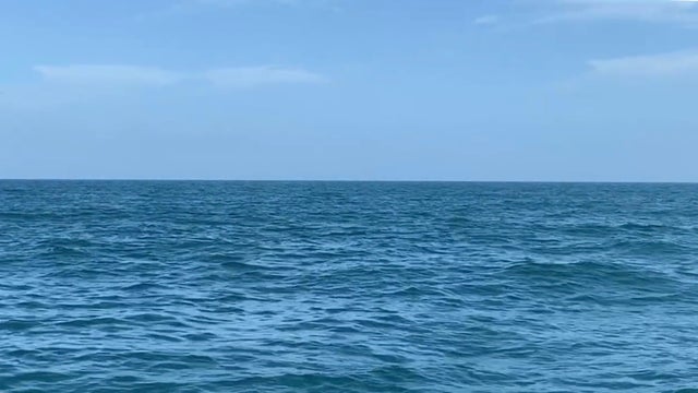 Teen hospitalized in Galveston after offshore shark bite