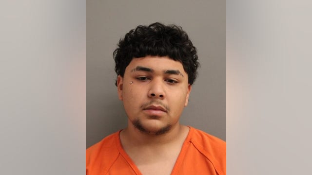 Teen charged with manslaughter after Harris County woman, 84, was shot in her kitchen