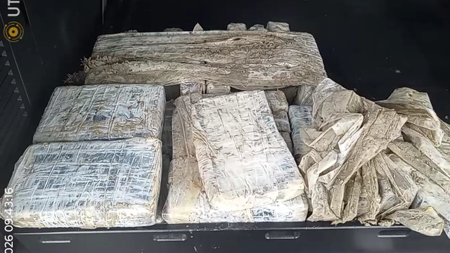 27 bricks of cocaine wash up on Galveston beach