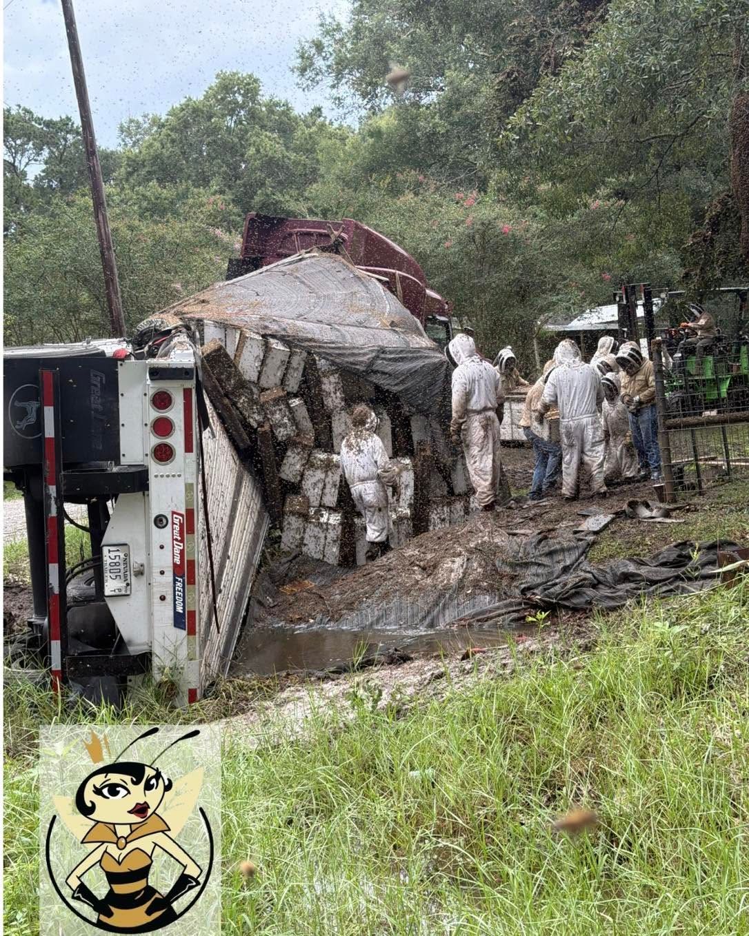 Overturned 18-wheeler releases at least 24 million honeybees, forcing Texas neighborhood lockdown