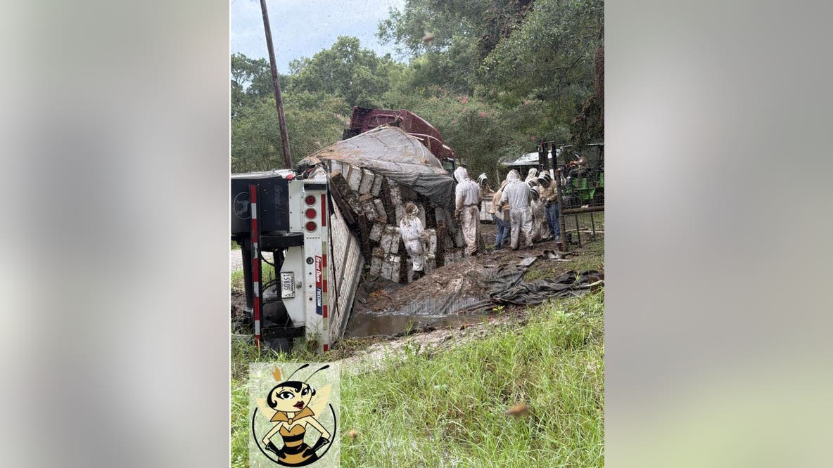 Overturned 18-wheeler releases at least 24 million honeybees, forcing Texas neighborhood lockdown