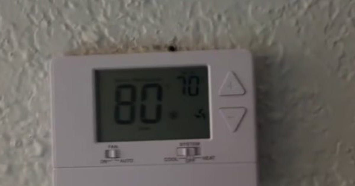 Bay City tenants report A/C, pest problems at Palm Village Apartments