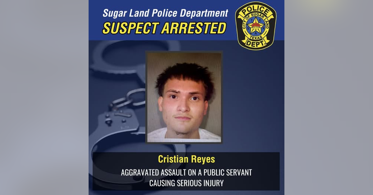 Assault News Image