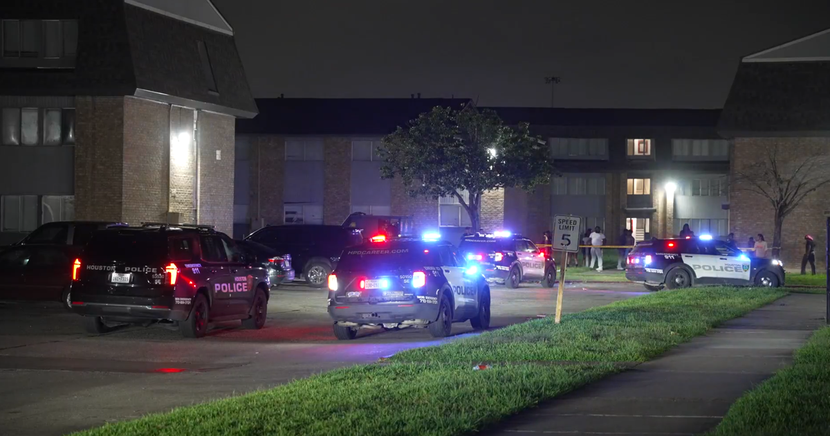 Texas woman charged with murder after fatal Southeast Houston apartment stabbing