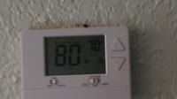 Bay City tenants report A/C, pest problems at Palm Village Apartments