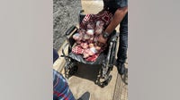 Brisket bandit busted by Harris County authorities