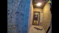 Texas homeowner mistakes alligator on the porch for an Amazon package delivery