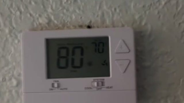 Bay City tenants report A/C, pest problems at Palm Village Apartments