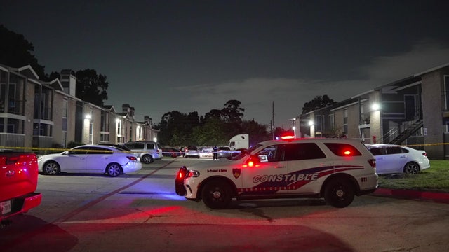 Harris County shooting: Man killed at apartment complex on Ella Blvd