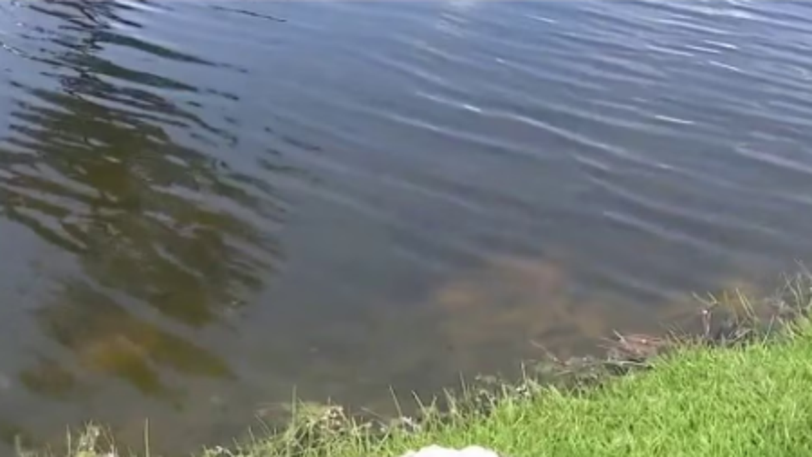 Spring neighbors describe desperate efforts to save 2-year-old, 74-year-old after neighborhood drowning