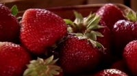 Houston doctor warns of seasonal parasite spike tied to popular raw summer foods