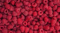 Cyclosporiasis in Texas: List of foods linked to some outbreaks