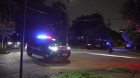 Teen found shot in Montrose neighborhood is in critical condition