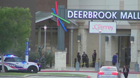 Deerbrook Mall reviews security as experts warn about risks tied to social media meetups