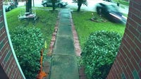NTSB releases preliminary report after Tesla crashed into Katy home, killing 76-year-old woman