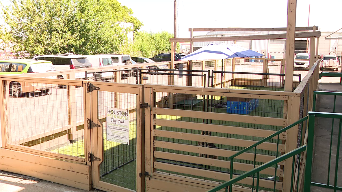 Houston Pets Alive in desperate need of new play yard