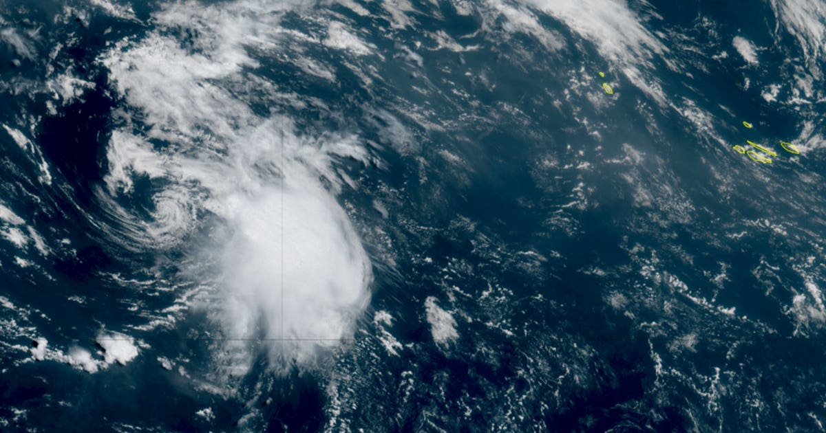 Tropical Storm Cristobal forms