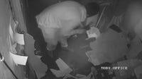 2 Houston restaurants burglarized days apart, owners say break-ins add to small business struggles
