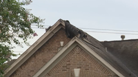 Sugar Land house fire possibly caused by lightning