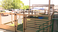 Houston Pets Alive in desperate need of new play yard