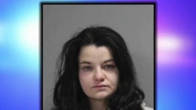 25-year-old dog rescue group owner pleads guilty to what could be the worst animal cruelty case in Texas