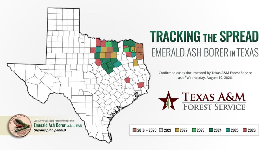 Confirmed cases documented by Texas A&M Forest Service.