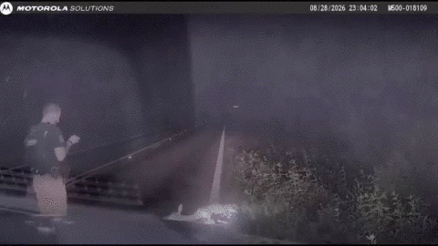 WATCH: ‘Dead’ deer scares Texas deputy in viral video