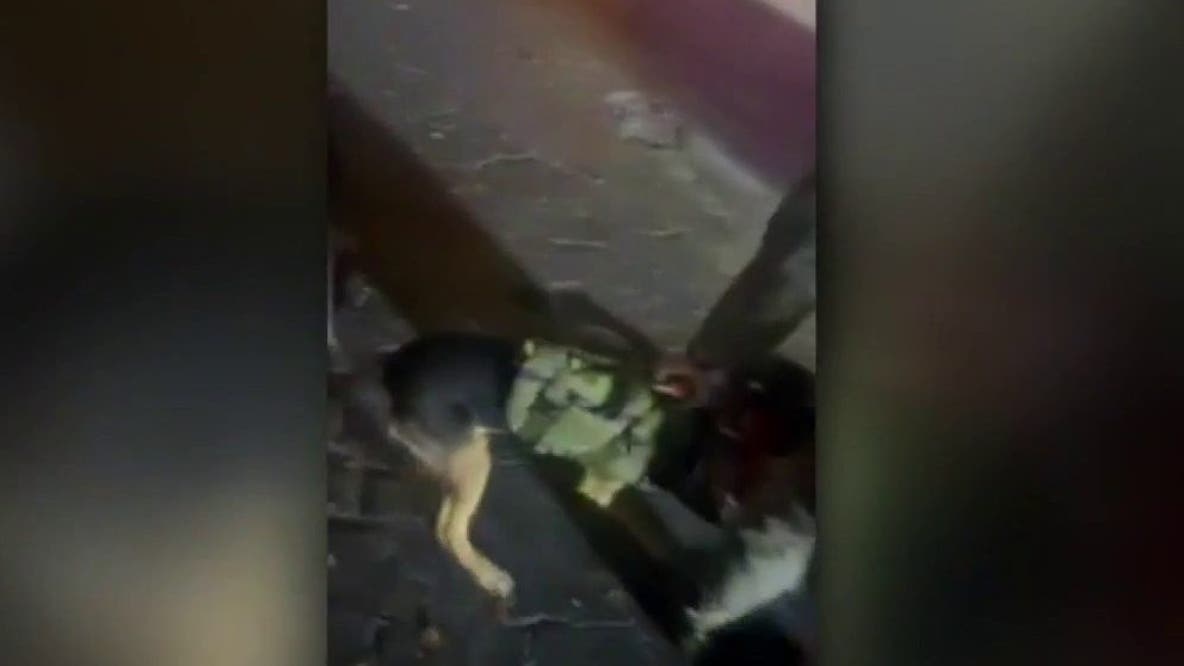 Humble family disputes police account after K-9 unit deployed in arrest