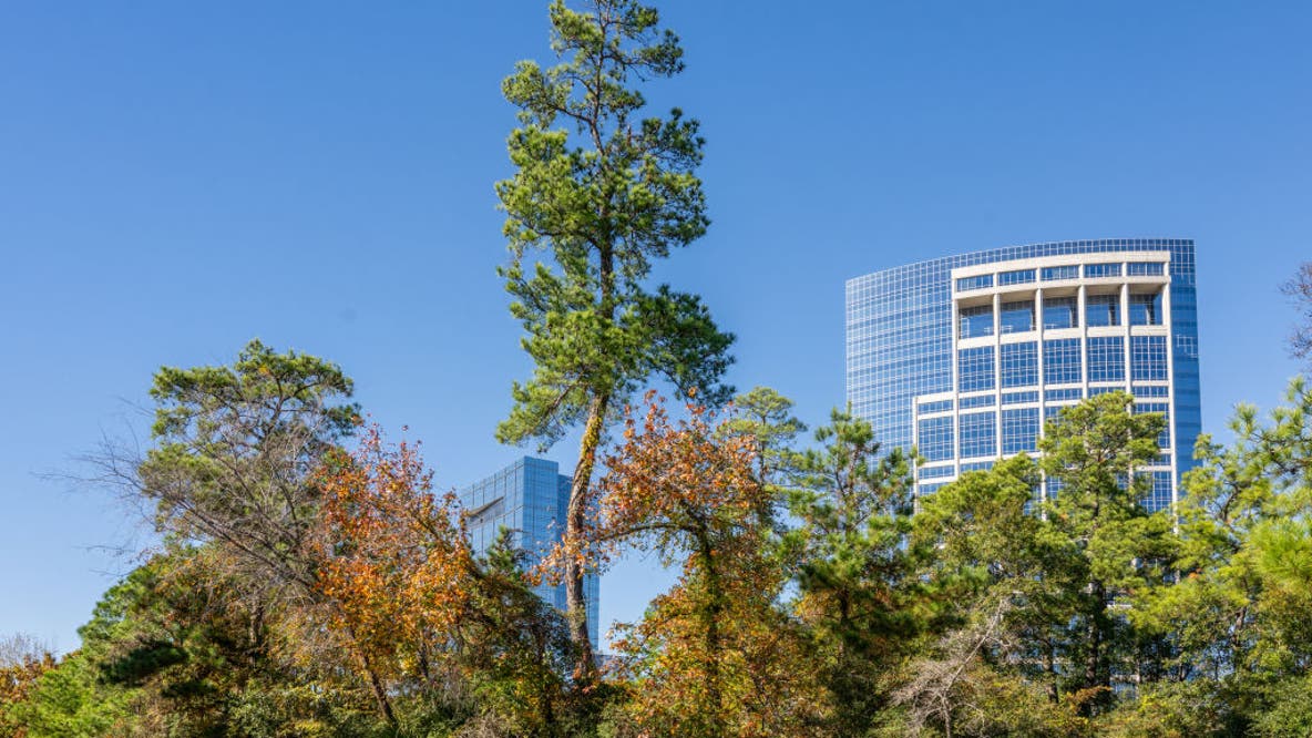 The Woodlands offering 'Free Fare Fridays' throughout September