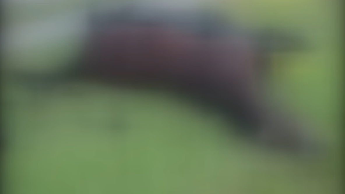 Dead horse decaying in front of Harris Health System facility
