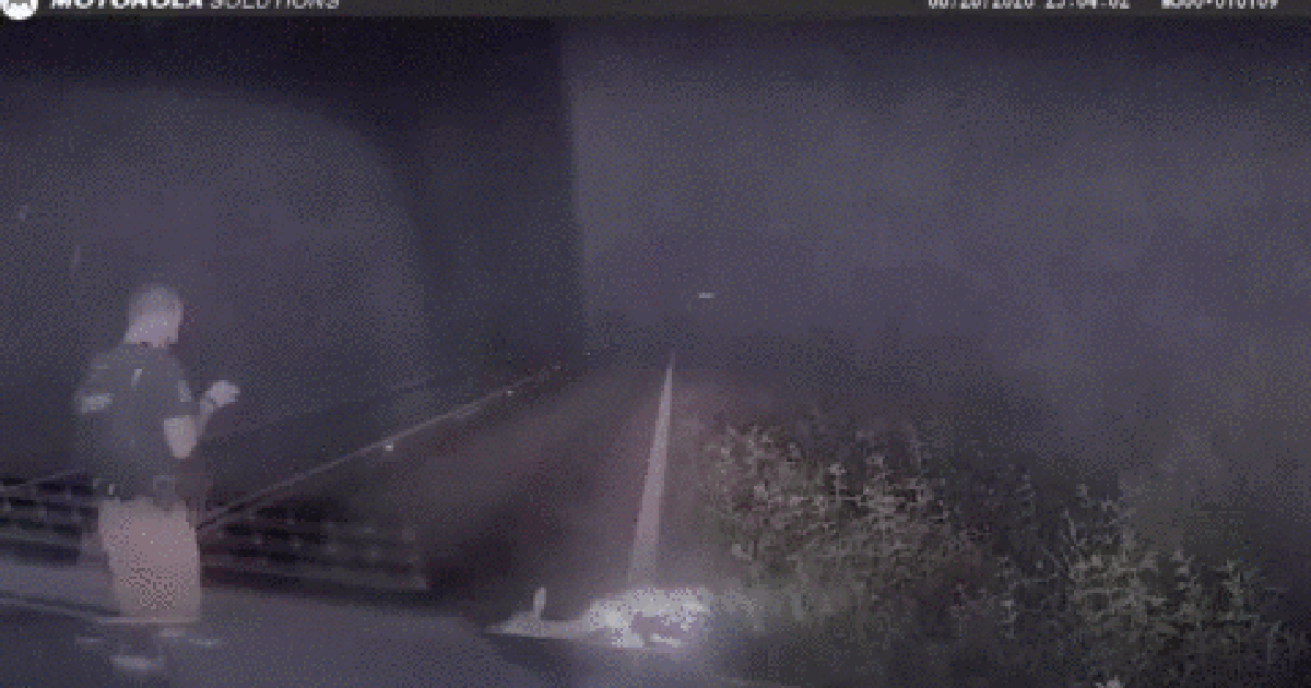 VIDEO: Texas deputy scared by ‘dead’ deer VIDEO: Texas deputy scared by ‘dead’ deer