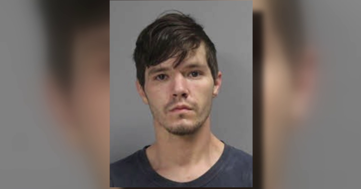 Texas man sentenced to 10 years in prison after more than 130 dogs died at animal rescue