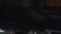 Pedestrian killed by vehicle in Sunnyside; driver arrested