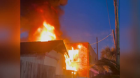 Historic LGBTQ bar in Galveston escapes damage from shed fire, 2 taken to the hospital