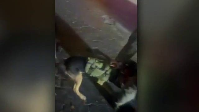 Humble family disputes police account after K-9 unit deployed in arrest
