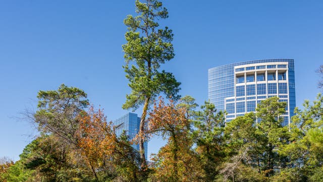 The Woodlands offering 'Free Fare Fridays' throughout September