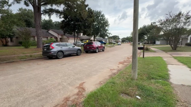 Elderly woman found dead in Harris County home with adult son in other room