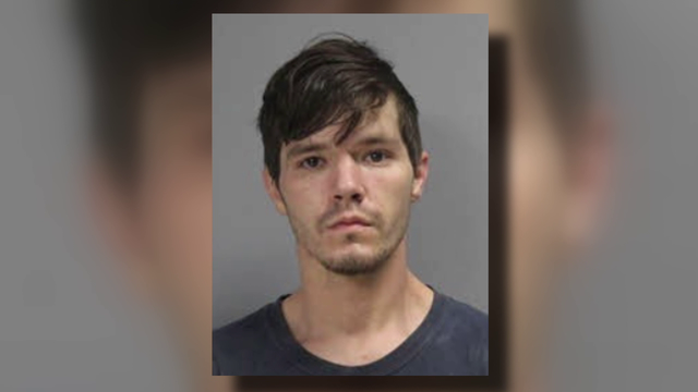Texas man sentenced to 10 years in prison after more than 130 dogs died at animal rescue