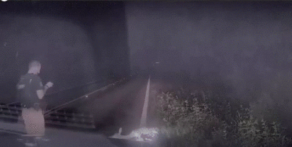 WATCH: ‘Dead’ deer scares Texas deputy in viral video