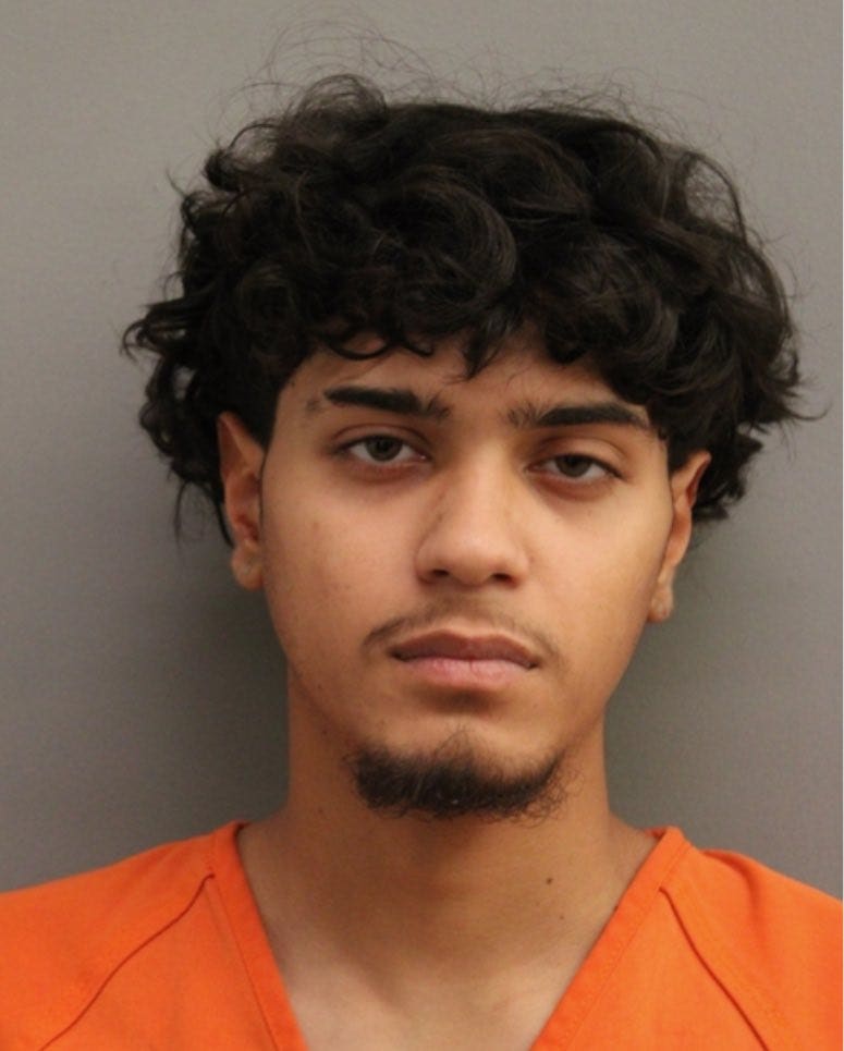 Harris County man arrested after allegedly stabbing ex-girlfriend, two dogs found shot dead