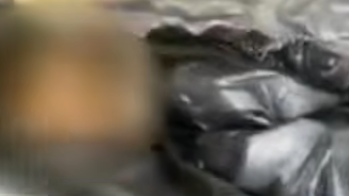 Questions raised around how Harris County Precinct 4 disposes of dead animals along roadways