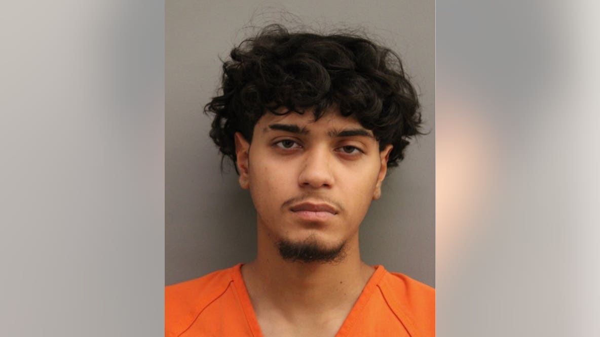 Harris County man arrested after allegedly stabbing ex-girlfriend, two dogs found shot dead