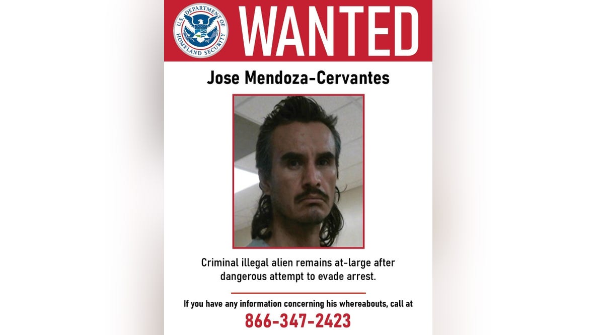 DHS confirms target in Harris County ICE operation crash as new witnesses come forward in investigation
