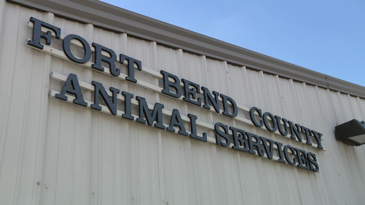 FOX 26 viewer donates $3,000 to Fort Bend Animal Shelter