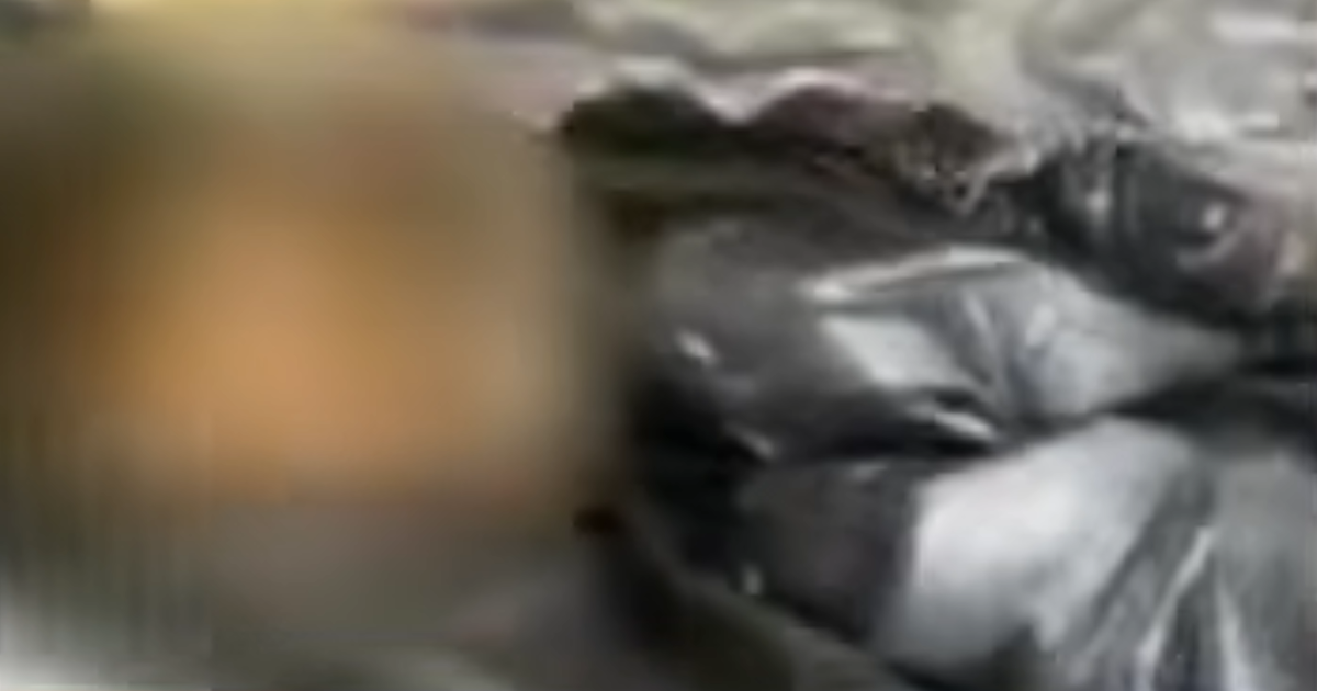 Questions raised around how Harris County Precinct 4 disposes of dead animals along roadways
