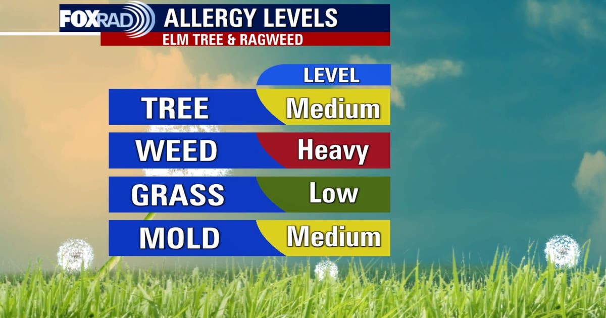 Houston weather: Pleasant Wednesday ahead, allergens increase