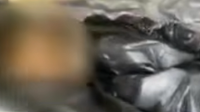 Questions raised around how Harris County Precinct 4 disposes of dead animals along roadways