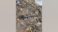 Texas game wardens issue citation to man after locating alligator tied up in a pond